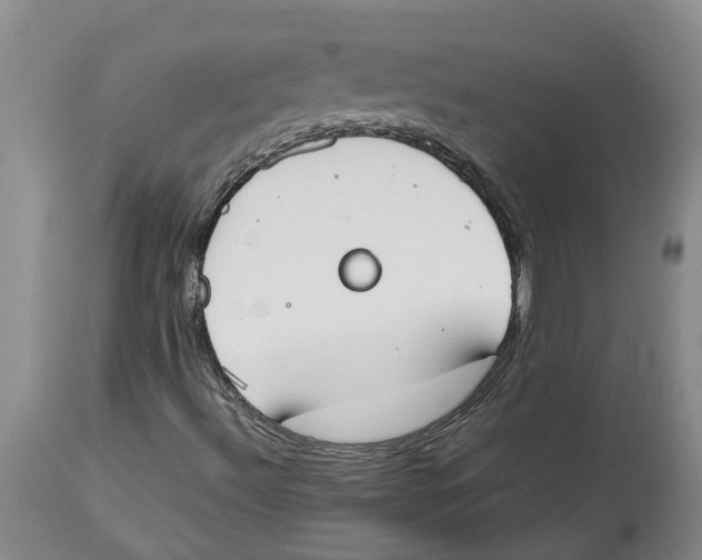 X0000113931492200910231909