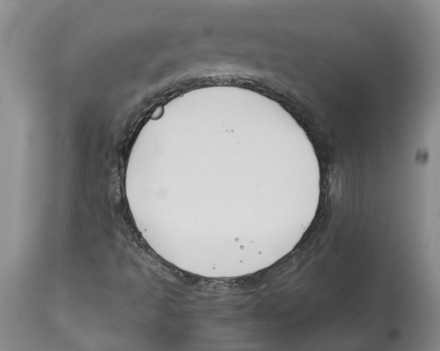 X0000113931493200910231909
