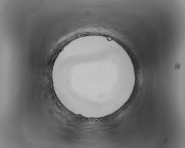 X0000113931494200910231909