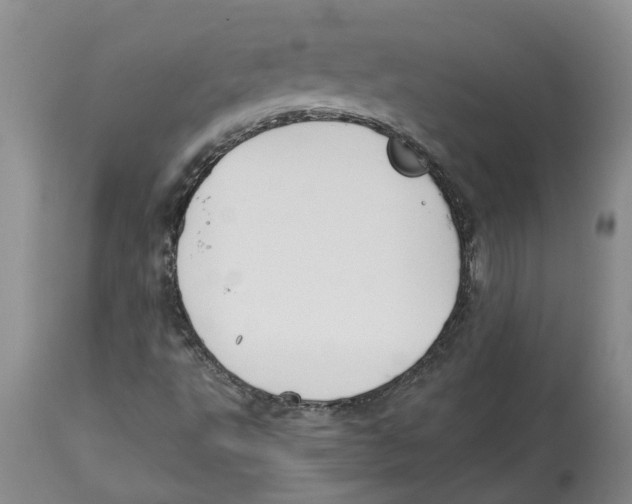 X0000113931495200910231909
