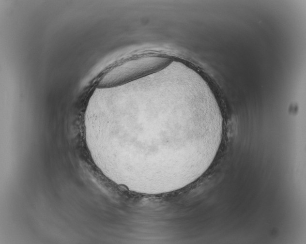 X0000113931496200910231909