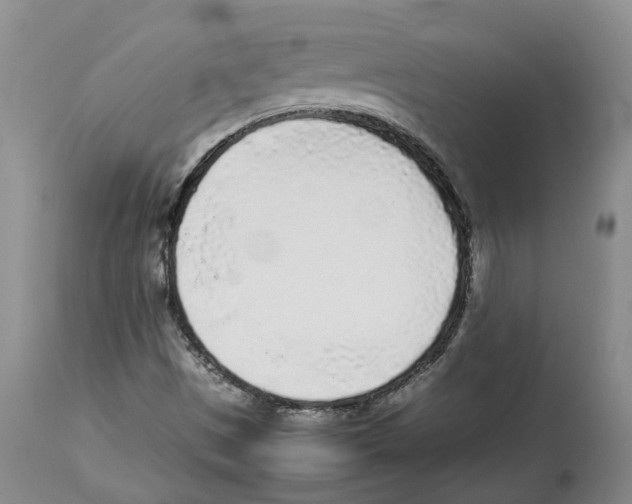 X0000113931497200910231909