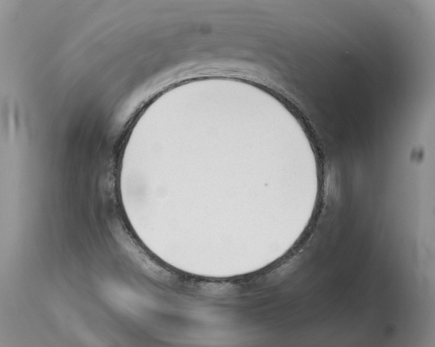 X0000113931498200910231909