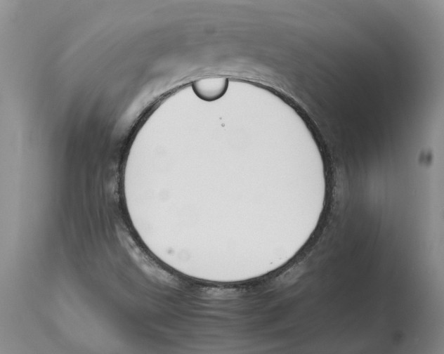X0000113931499200910231909