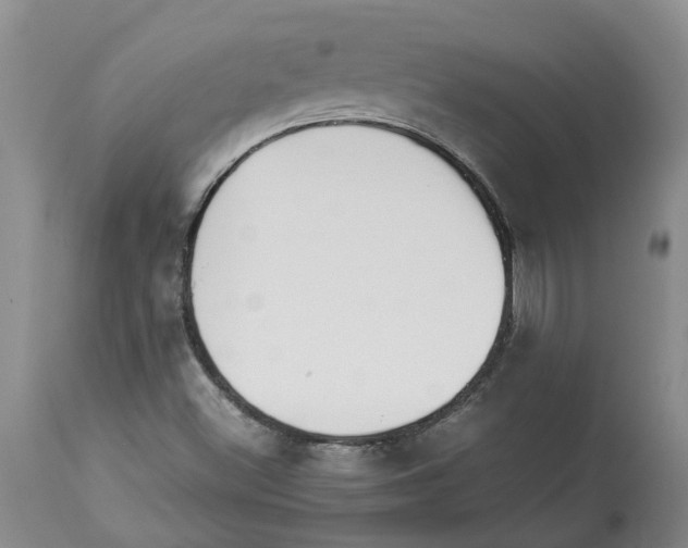 X0000113931500200910231909