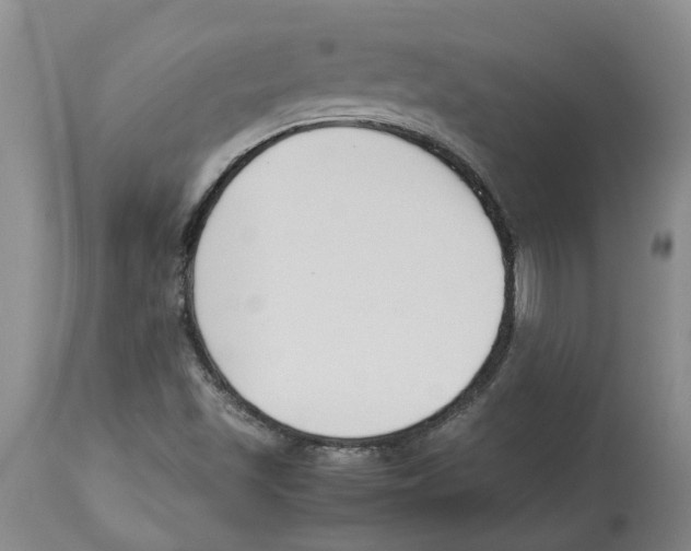 X0000113931501200910231909