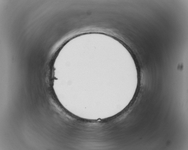X0000113931502200910231909