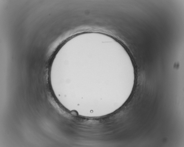 X0000113931503200910231909