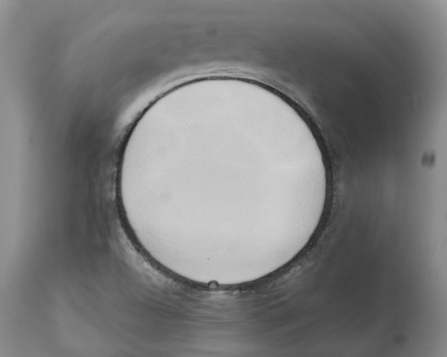 X0000113931504200910231909