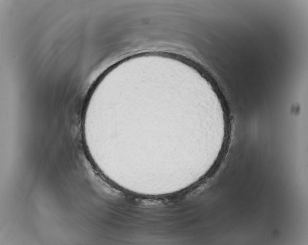 X0000113931505200910231909