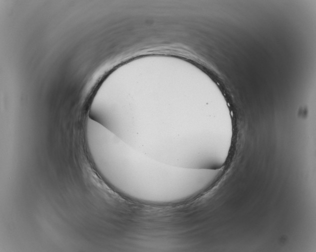 X0000113931506200910231909
