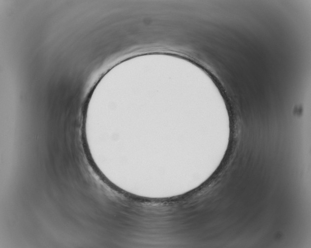 X0000113931508200910231909