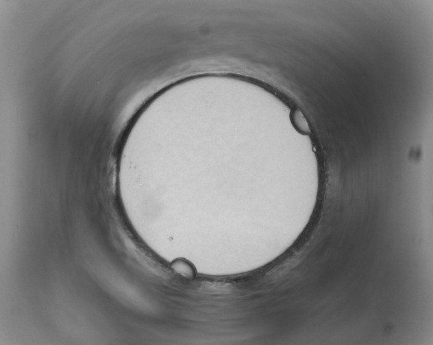 X0000113931509200910231909