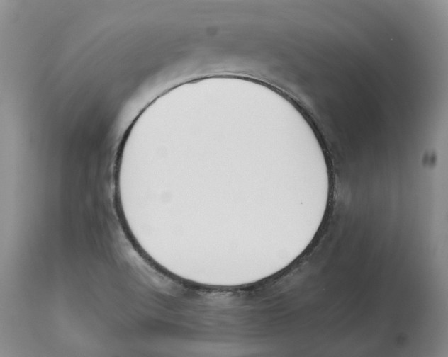 X0000113931512200910231909
