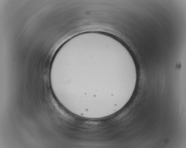X0000113931513200910231909