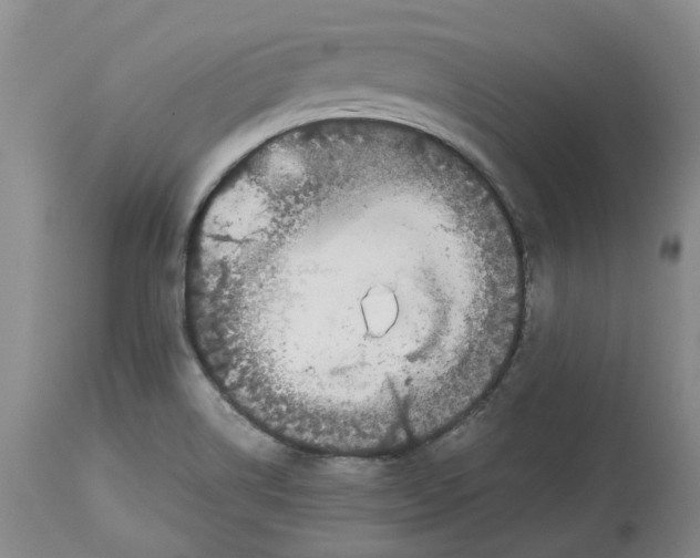X0000113931514200910231910