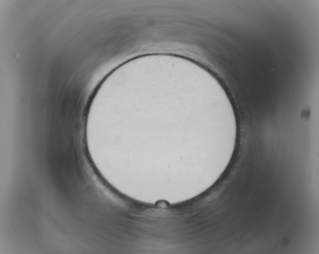 X0000113931517200910231910