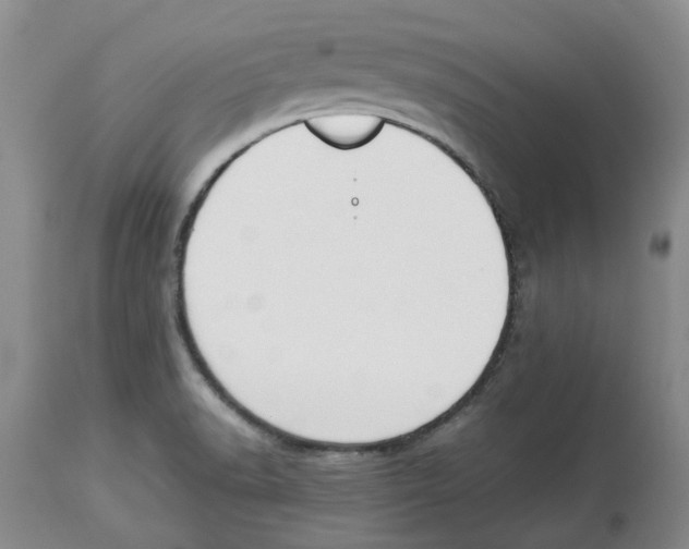 X0000113931518200910231910