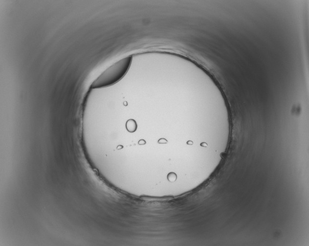 X0000113931520200910231910