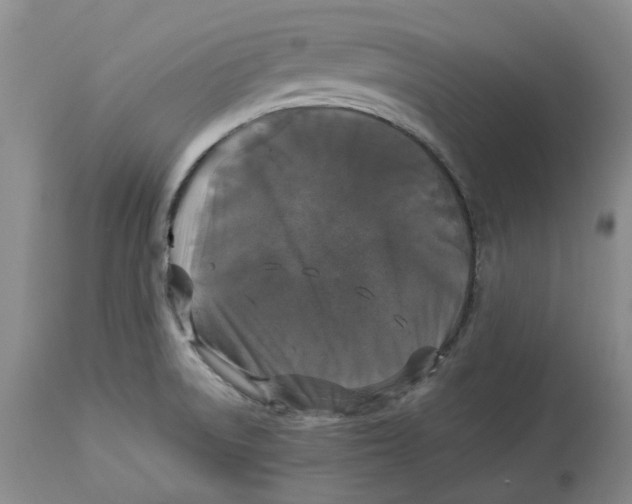 X0000113931522200910231910