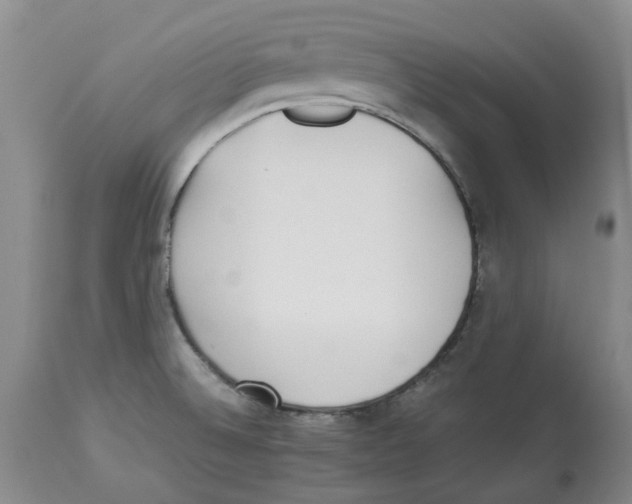 X0000113931524200910231910