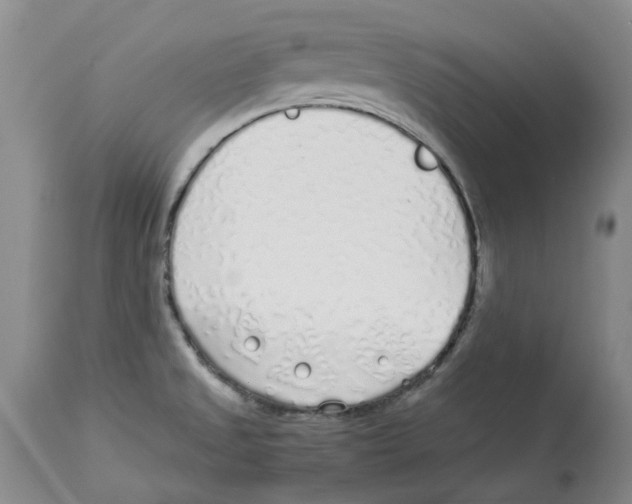 X0000113931525200910231910
