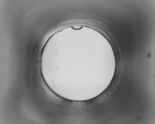 X0000113931526200910231910