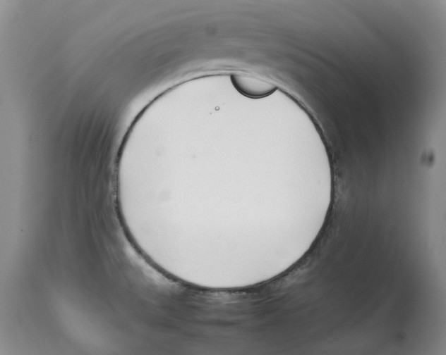 X0000113931527200910231910
