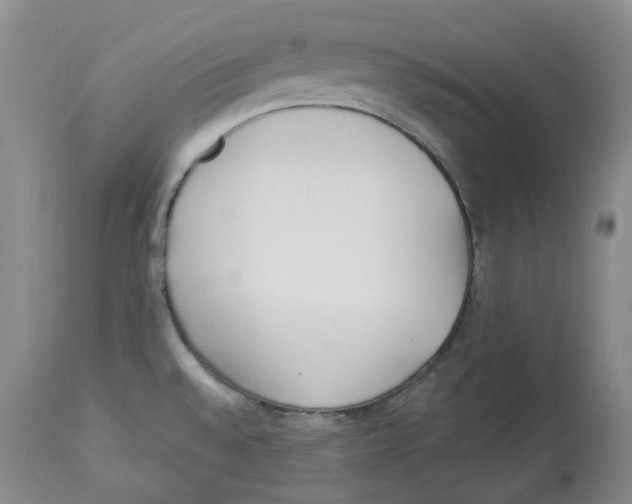 X0000113931528200910231910