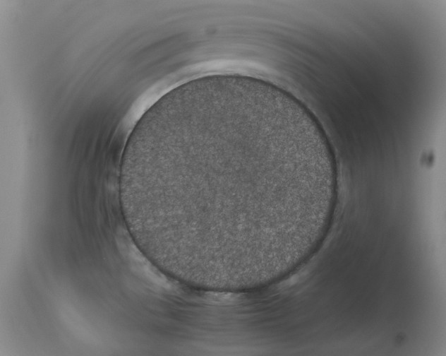 X0000113931529200910231910