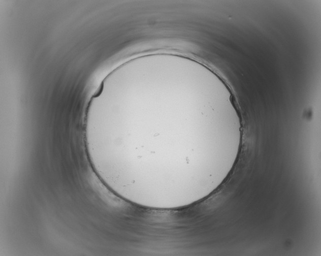 X0000113931532200910231910