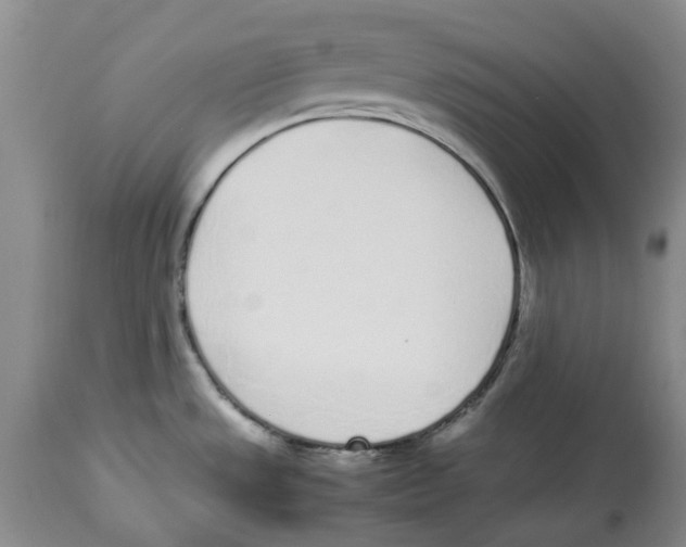 X0000113931533200910231910