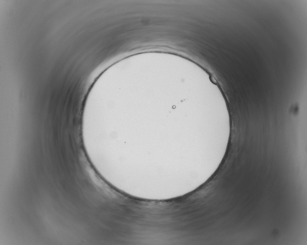 X0000113931534200910231910
