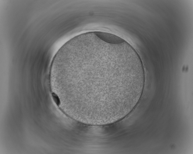 X0000113931536200910231910