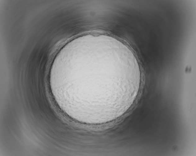X0000113930001200911061229