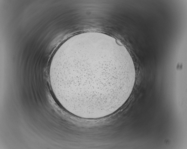 X0000113930002200911061229