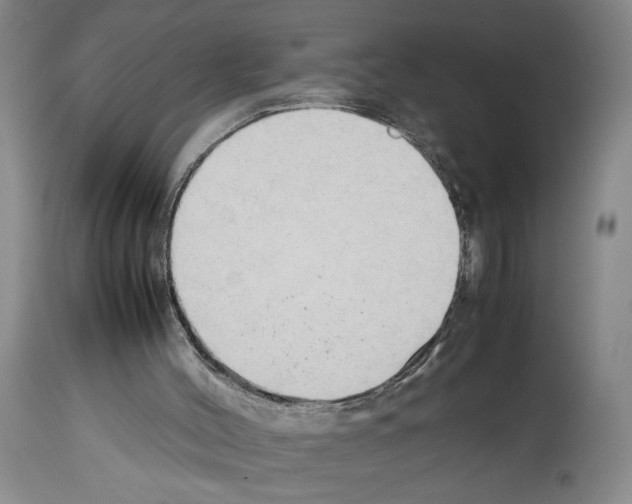 X0000113930004200911061229