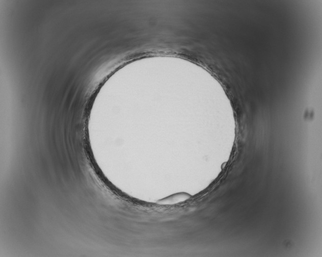 X0000113930005200911061229