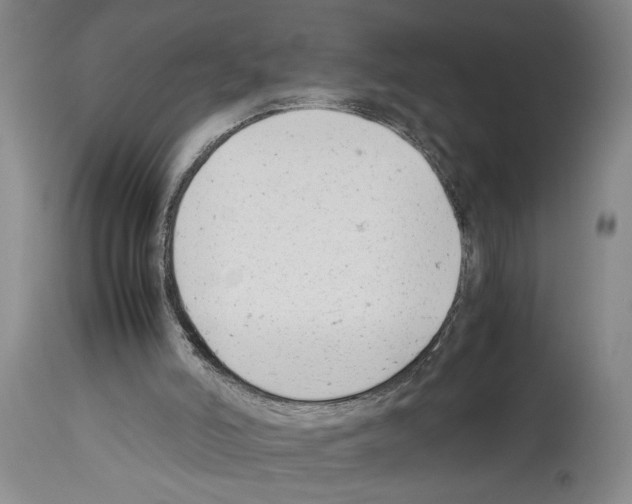 X0000113930006200911061229