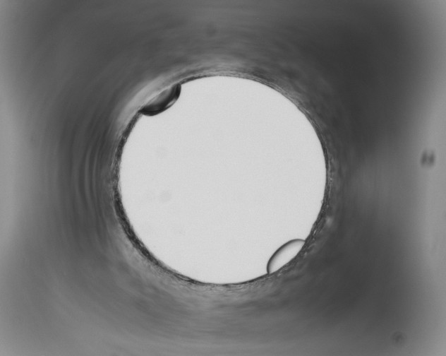 X0000113930007200911061229