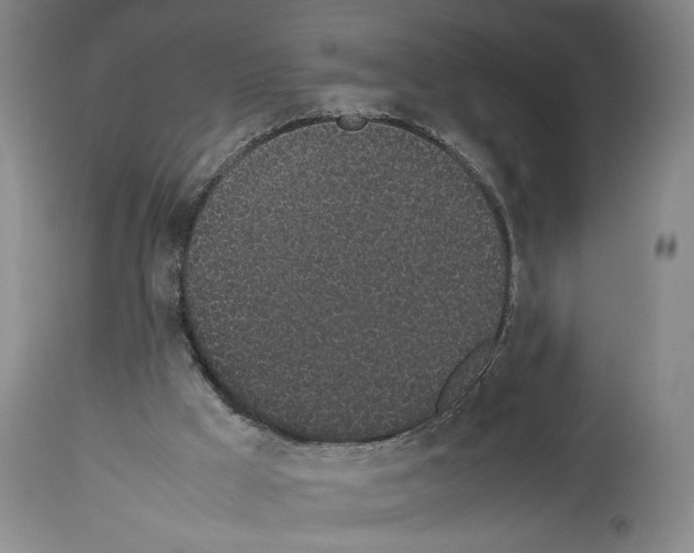 X0000113930009200911061229