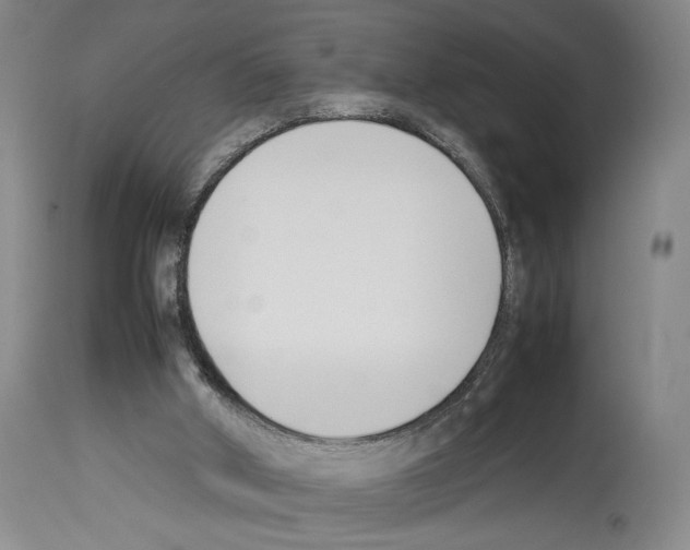 X0000113930010200911061229