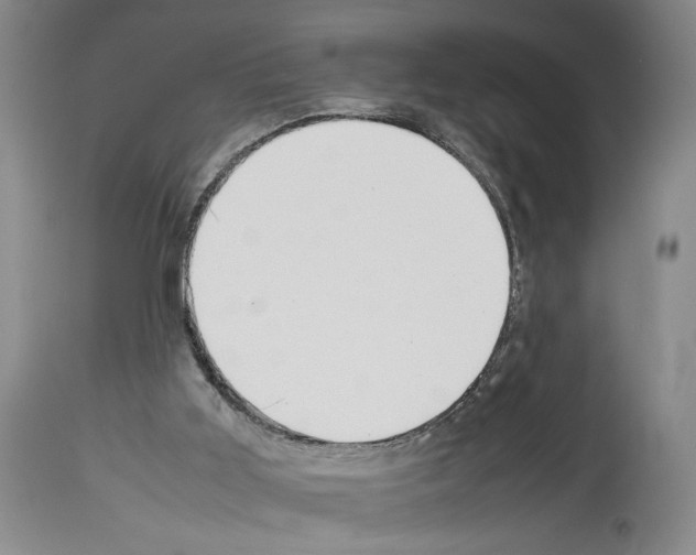 X0000113930011200911061229
