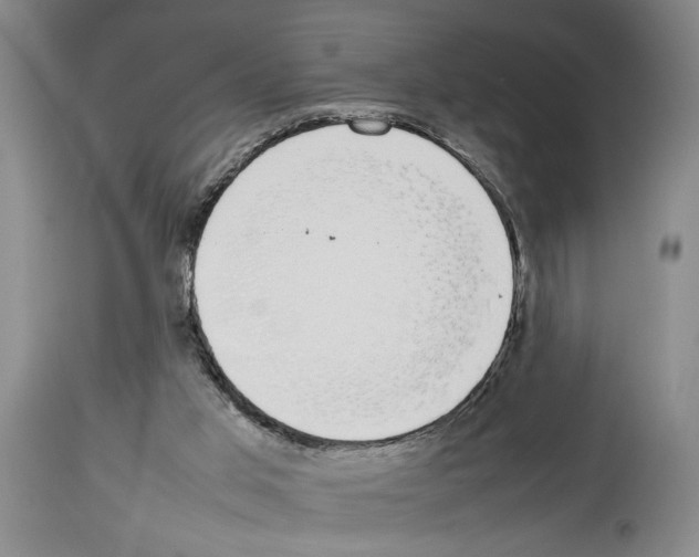 X0000113930013200911061229