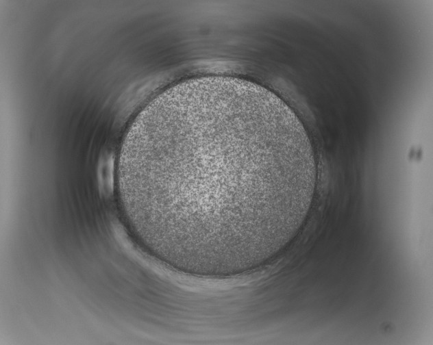 X0000113930014200911061229