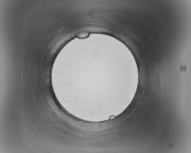X0000113930015200911061229