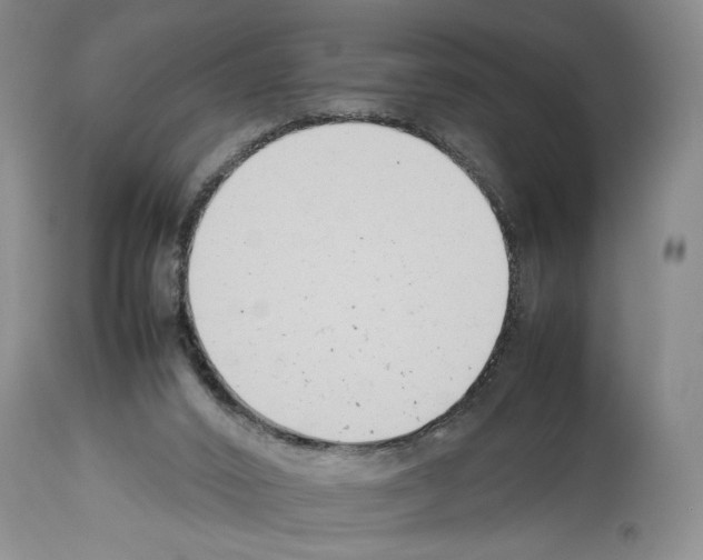 X0000113930016200911061229