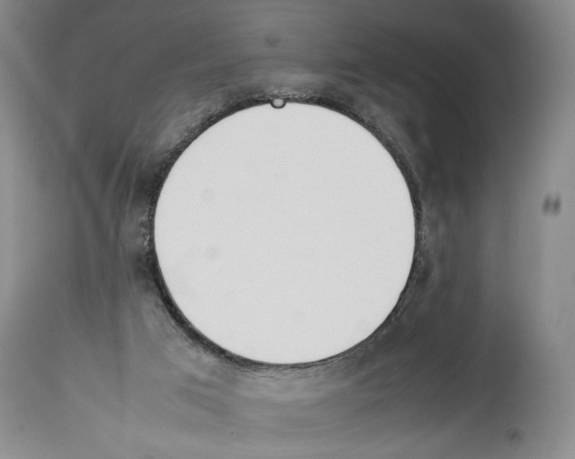 X0000113930017200911061229