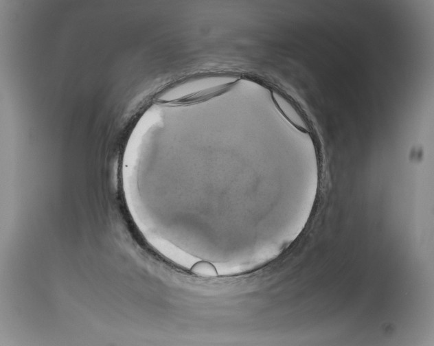 X0000113930019200911061229