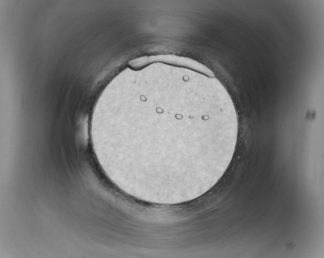 X0000113930020200911061229